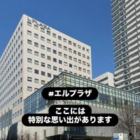 画像444